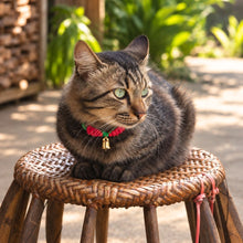 โหลดรูปภาพลงในเครื่องมือใช้ดูของ Gallery ปลอกคอแมวคริสต์มาส - Christmas Cat Collar - on Akha Chair - Handmade in Thailand - Macrame by Thailand - Square