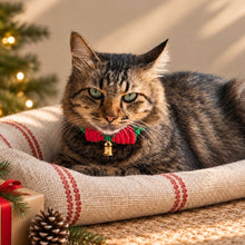 โหลดรูปภาพลงในเครื่องมือใช้ดูของ Gallery ปลอกคอแมวคริสต์มาส - Christmas Cat Collar - on Sofa - Handmade in Thailand - Macrame by Thailand - Square
