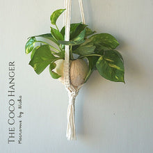Load image into Gallery viewer, COCO HANGER - SET 3 PIECES - PLANT HANGER