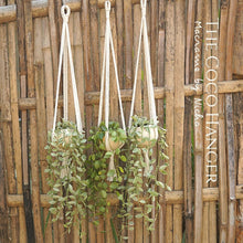 Load image into Gallery viewer, COCO HANGER - SET 3 PIECES - PLANT HANGER