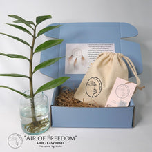 Load image into Gallery viewer, DIY KIT "Air of Freedom" + WORKSHOP - Kids - Dreamcatcher