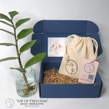 Load image into Gallery viewer, DIY KIT "Air of Freedom" + WORKSHOP - Adults - Dreamcatcher