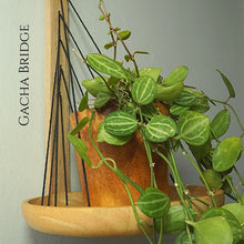 Load image into Gallery viewer, GACHA BRIDGE - HOME DECOR