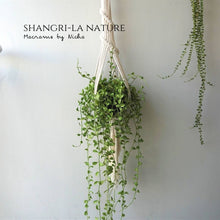 Load image into Gallery viewer, SHANGRI-LA NATURE - PLANT HANGER
