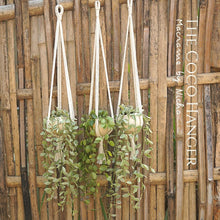 Load image into Gallery viewer, COCO HANGER - SET 3 PIECES - PLANT HANGER
