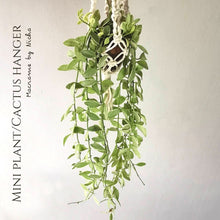 Load image into Gallery viewer, MINI PLANT/CACTUS HANGER - SET 3 PIECES
