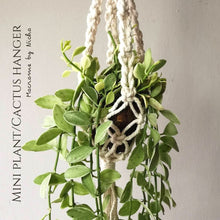 Load image into Gallery viewer, MINI PLANT/CACTUS HANGER - SET 3 PIECES
