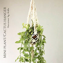 โหลดรูปภาพลงในเครื่องมือใช้ดูของ Gallery MINI PLANT/CACTUS HANGER - SET 3 PIECES - ที่แขวนกระถางมาคราเม่
