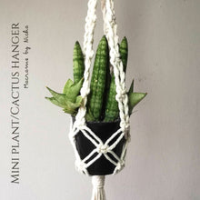 โหลดรูปภาพลงในเครื่องมือใช้ดูของ Gallery MINI PLANT/CACTUS HANGER - SET 3 PIECES - ที่แขวนกระถางมาคราเม่
