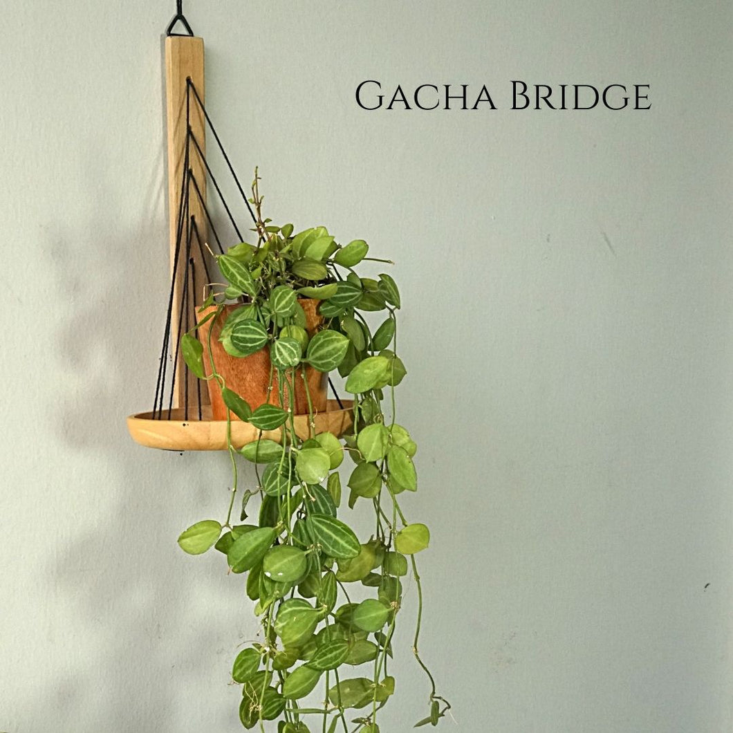 GACHA BRIDGE - HOME DECOR