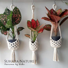 Load image into Gallery viewer, SUHATA NATURE 1 - SET 3 PIECES - PLANT HANGER

