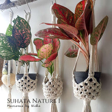 Load image into Gallery viewer, SUHATA NATURE 1 - SET 3 PIECES - PLANT HANGER
