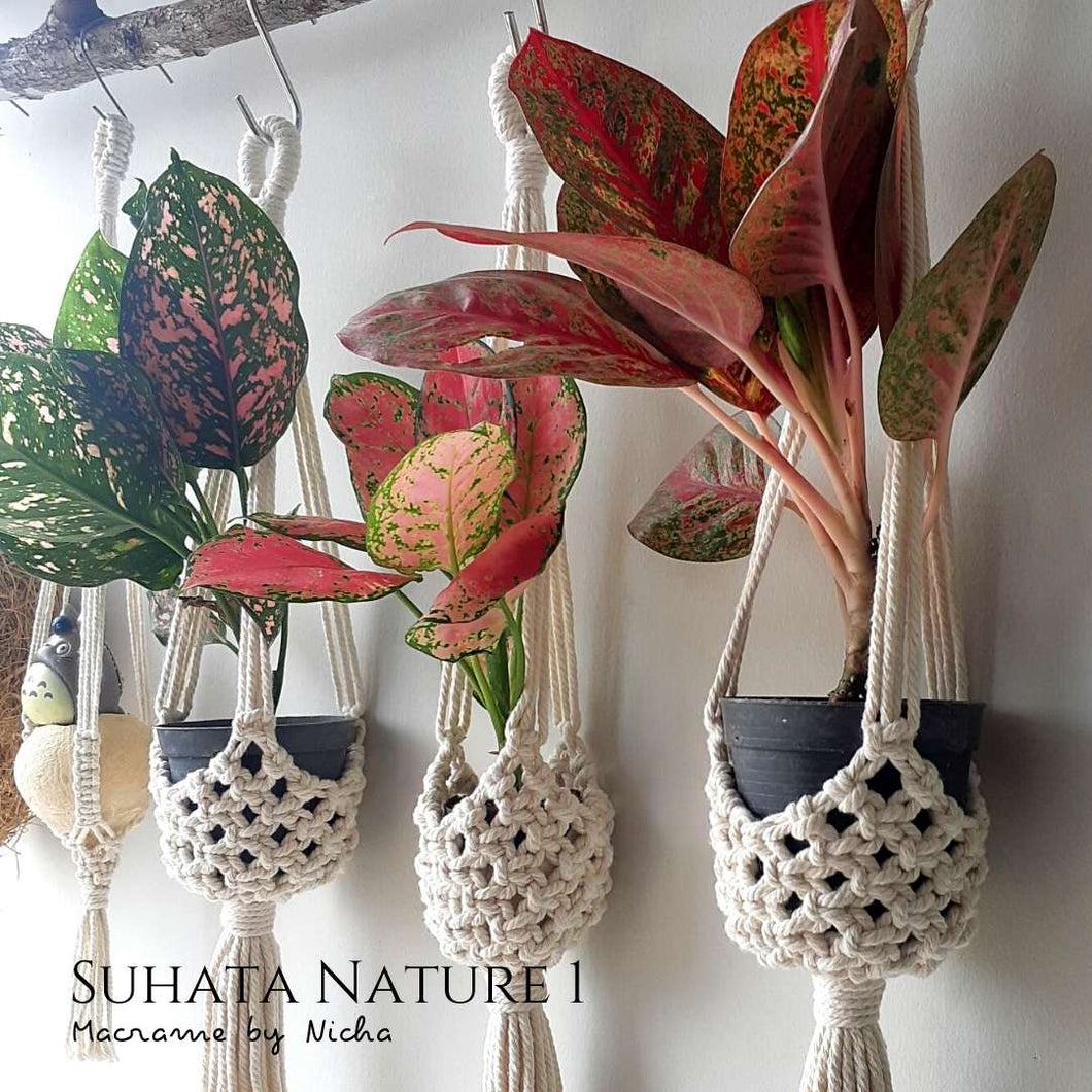 SUHATA NATURE 1 - SET 3 PIECES - PLANT HANGER