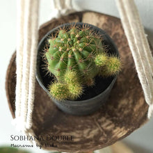 Load image into Gallery viewer, SOBHANA DOUBLE - PLANT HANGER
